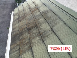 下屋根　塗装劣化　苔